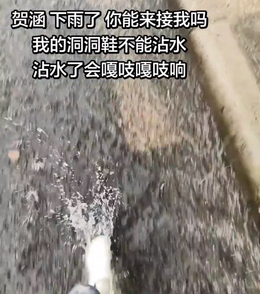 GBH贵宾会详情图
